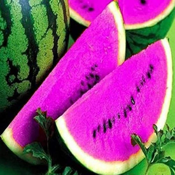 Blue Watermelon Seeds #1