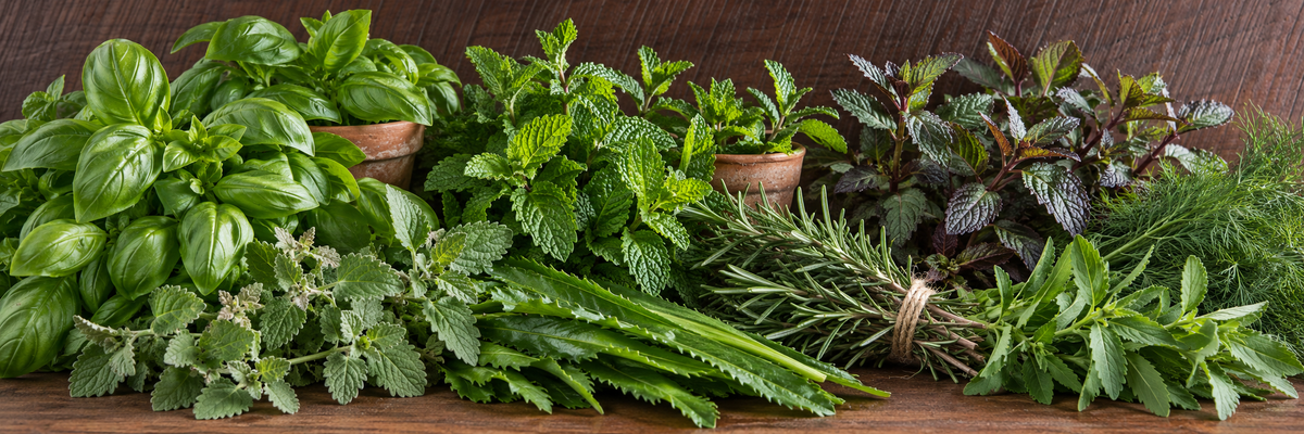 A variety of fresh herbs arranged on a rustic wooden table.