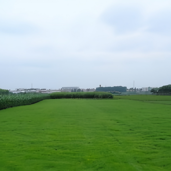 Nuglade Grass Seed