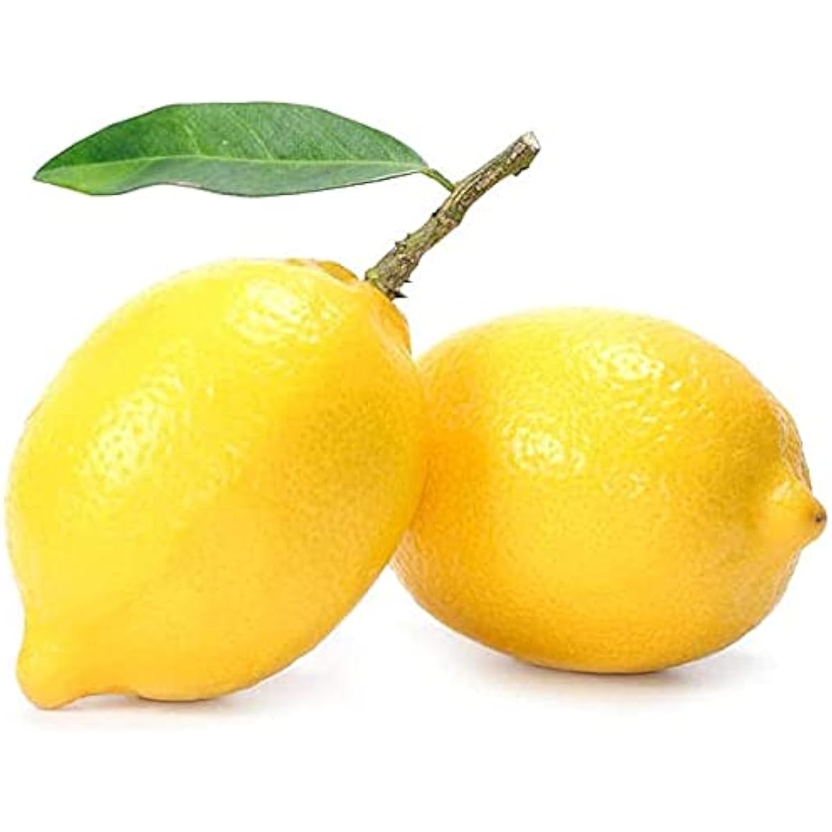 Lemon Tree Seeds