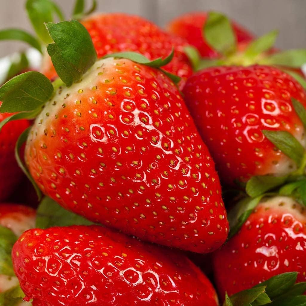 Strawberry Seeds #2