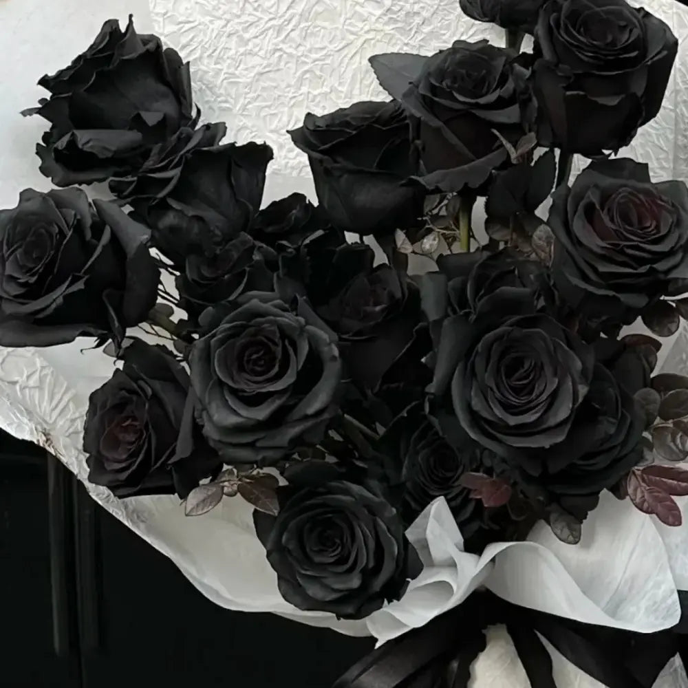 Black Rose Seeds #2