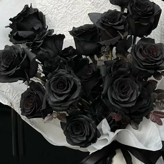 Black Rose Seeds #2