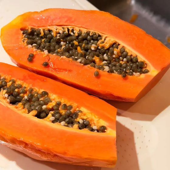 Red Lady Papaya Seeds #2